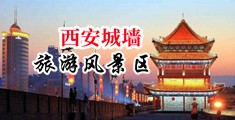 小逼视频网站中国陕西-西安城墙旅游风景区